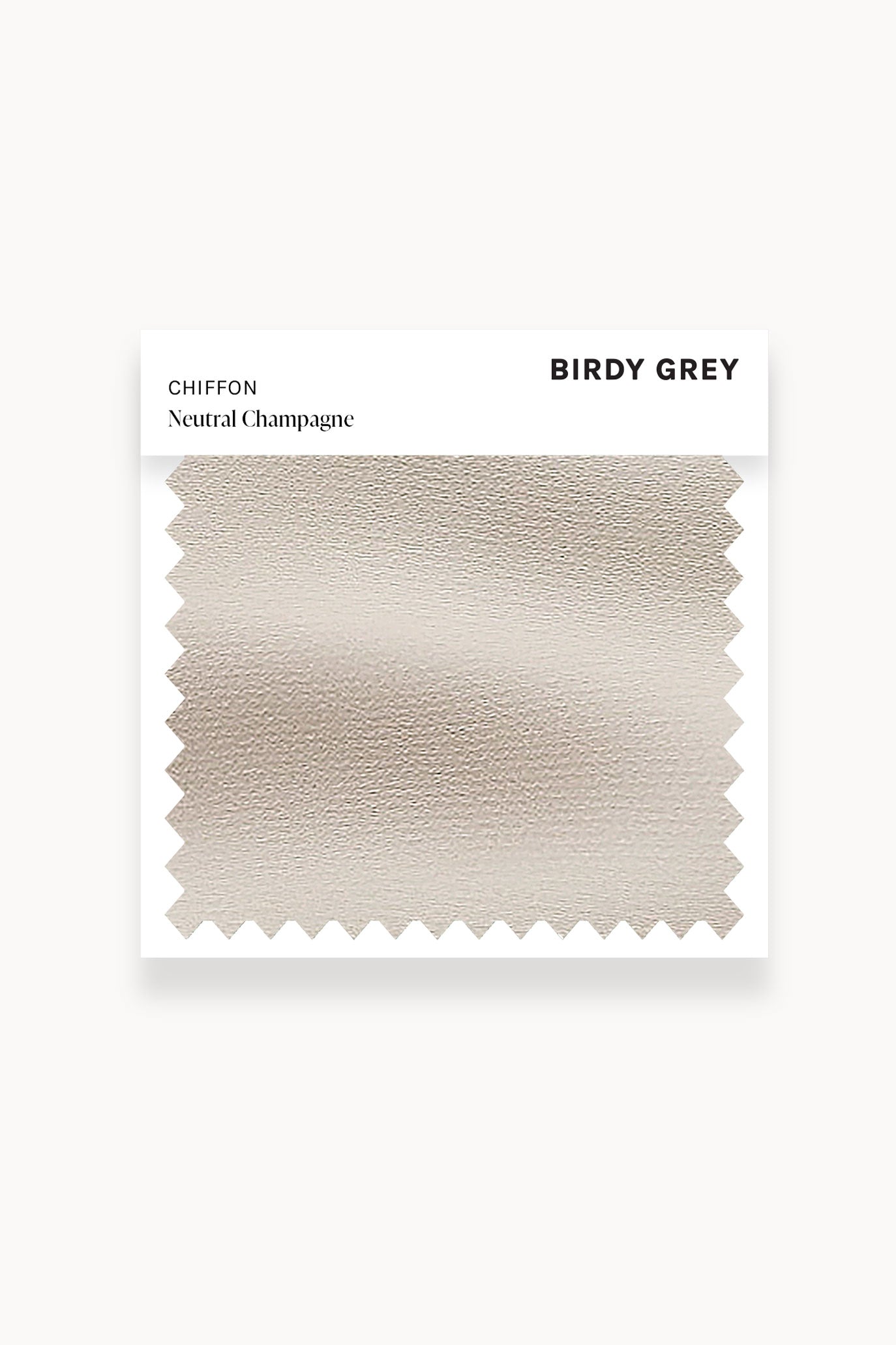 Neutral Champagne Chiffon Scarf | Swatch