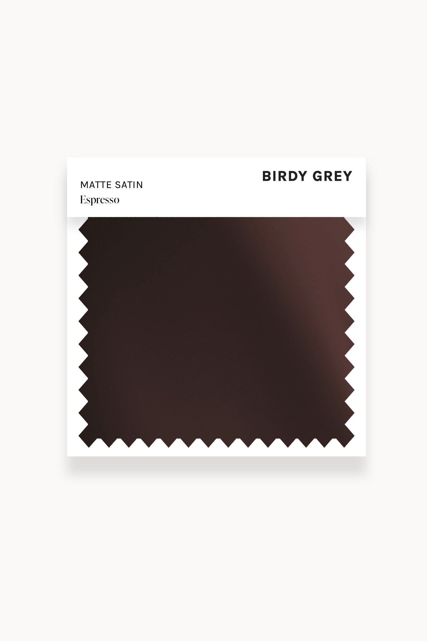 Matte Satin Espresso Watch | Swatch