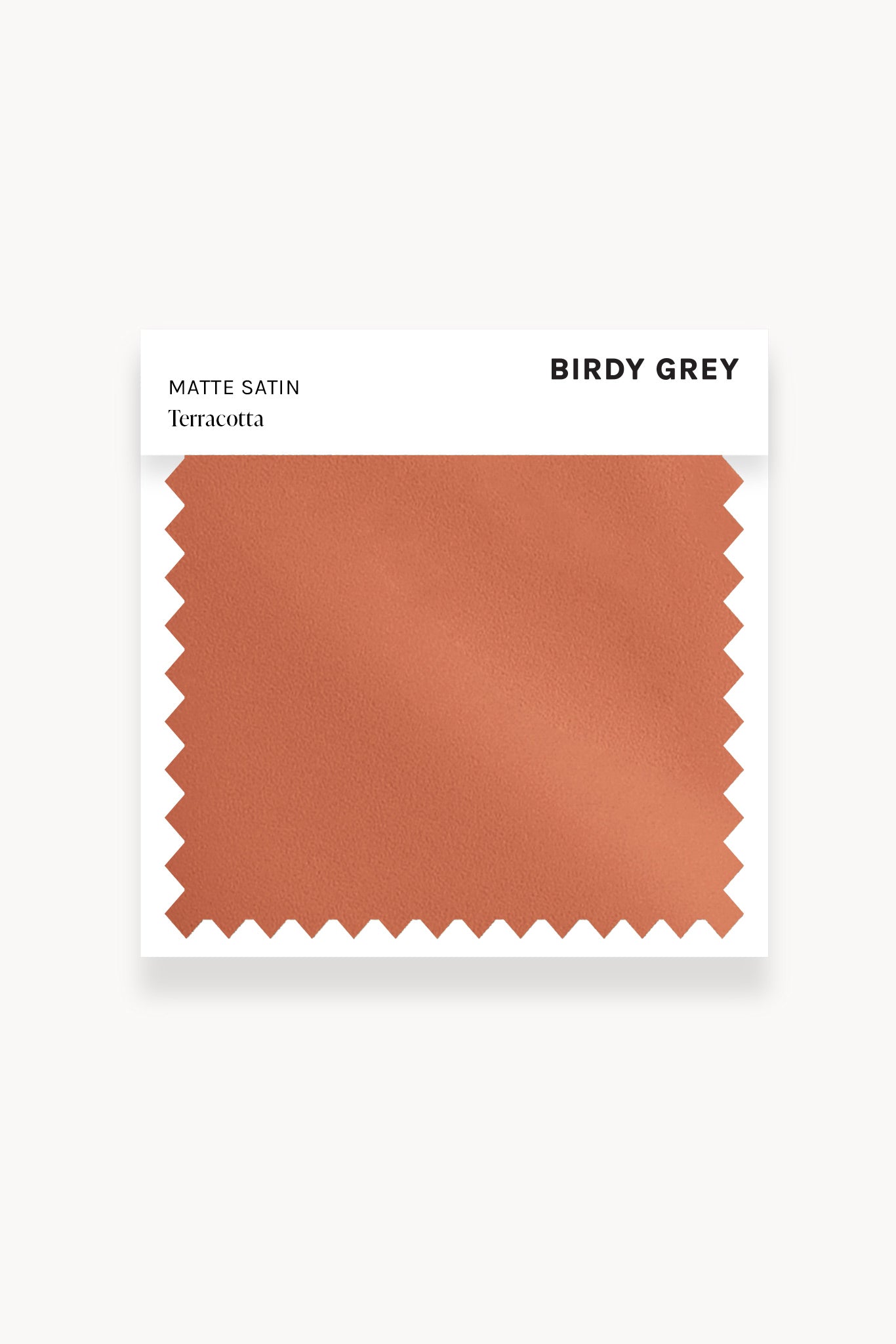 Matte Satin Watch in Terracotta | Swatch