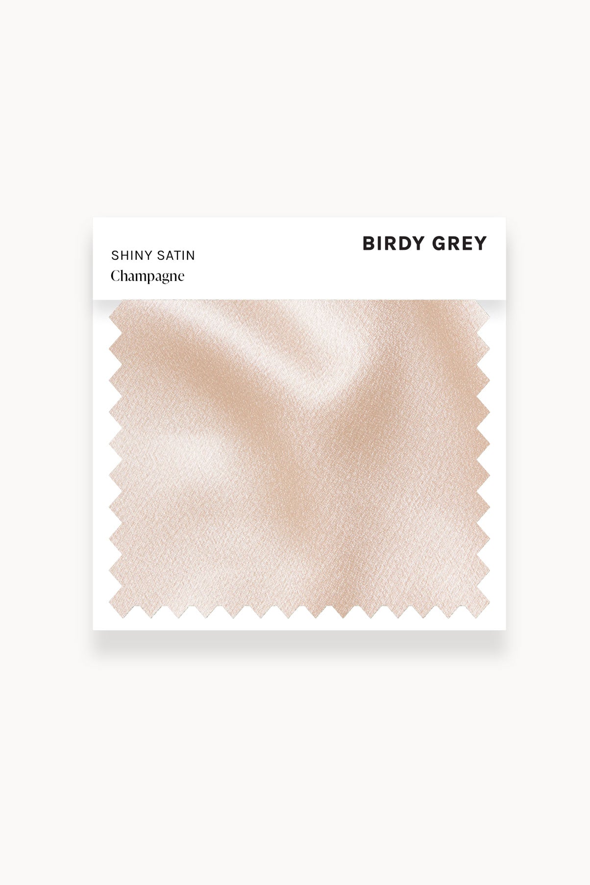 Champagne Satin Watch | Swatch Shiny