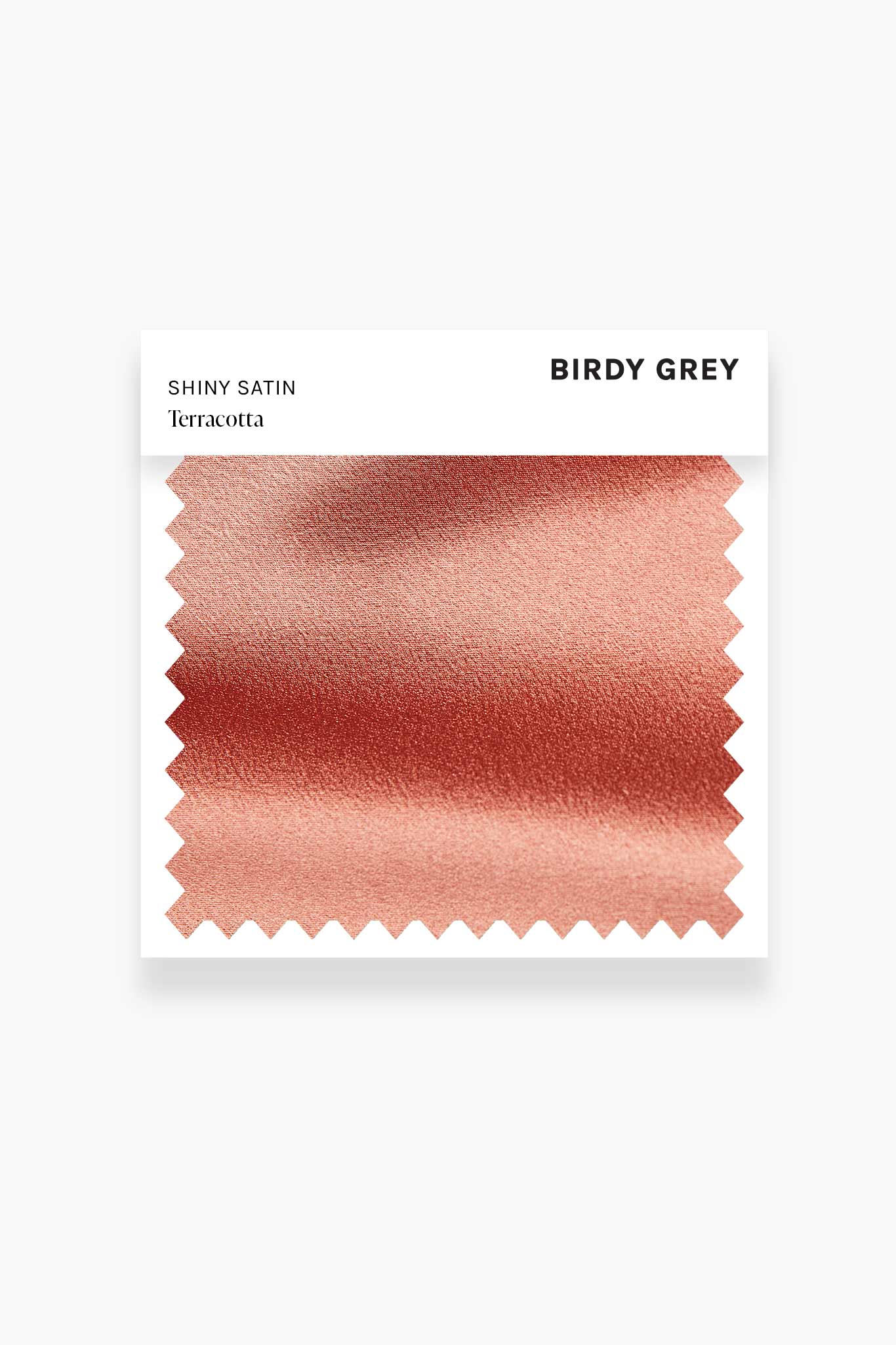 Terracotta Shiny Satin Watch | Swatch