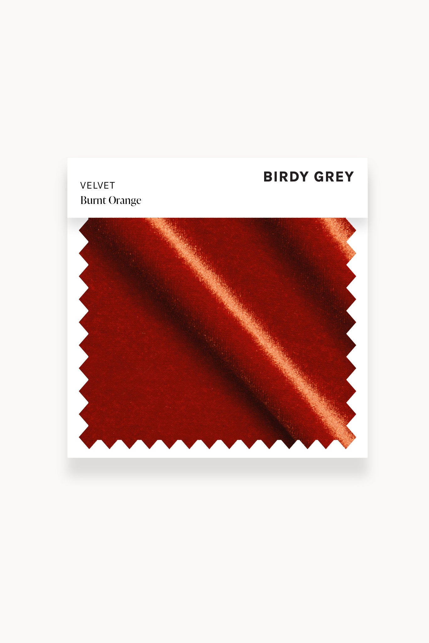 Velvet Watch in Burnt Orange | Swatch